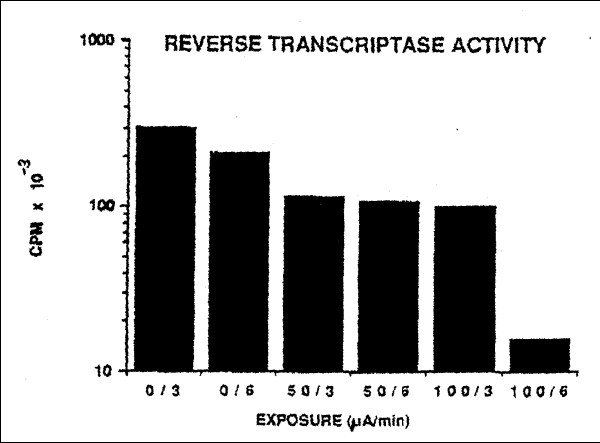 Results of a representative reverse transcriptase assay