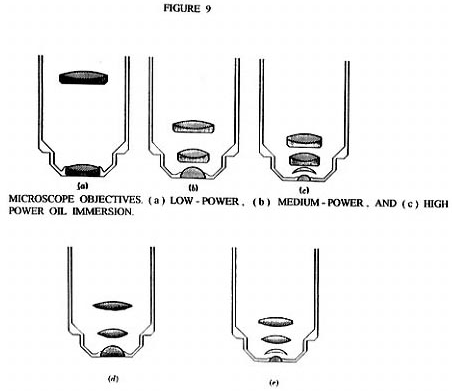 Fig. 9